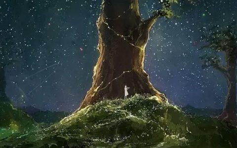 星河入梦时，资本正灌溉科技的土壤