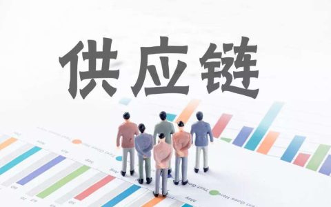解开供应链的 “效率密码”：从成本管控到价值升级