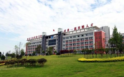 职业教育：在技能土壤里生长的未来力量